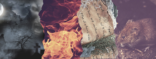 banner met vuur, storm, en een rat
