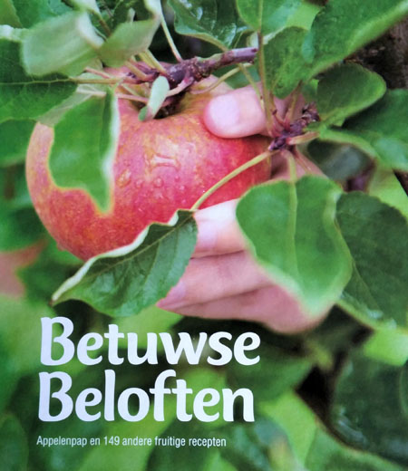 omslag boekje Betuwse Beloften
