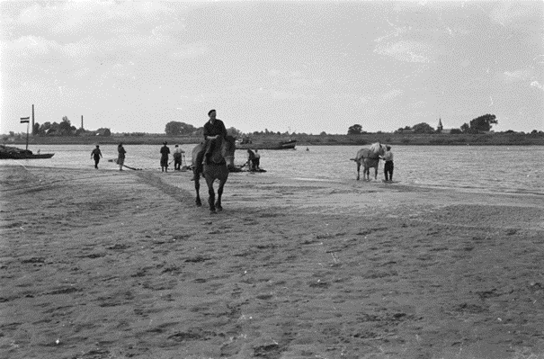 netten worden met paarden aan land getrokken