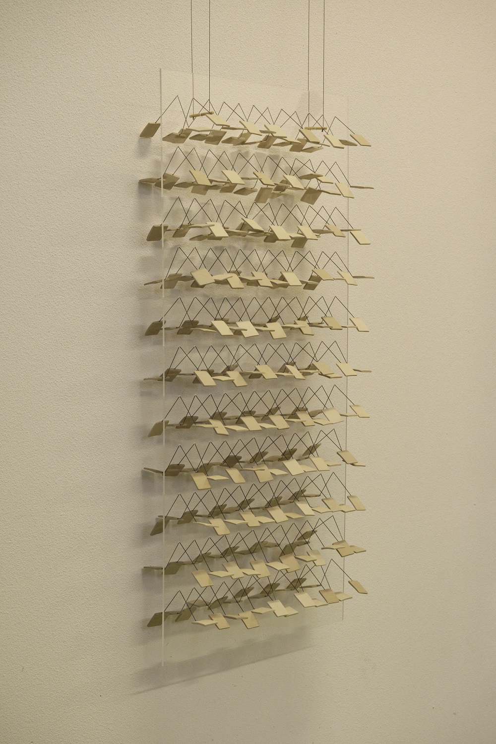 Jonne Stout: Lines of Daalderop